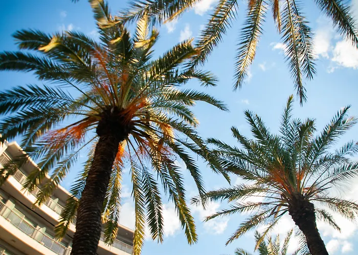 Rhodes Szálloda Rhodes City